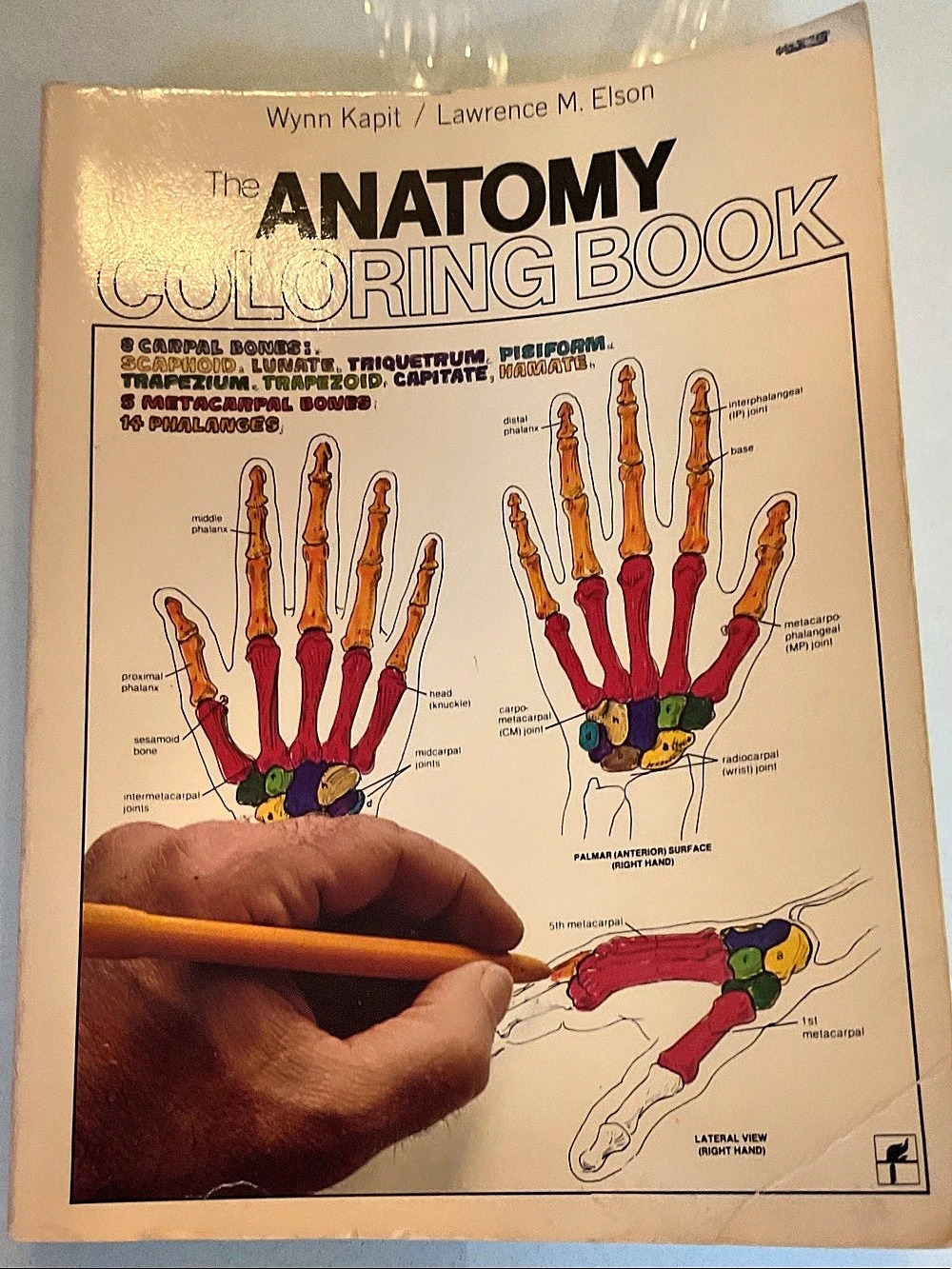 HarperCollins The Anatomy Coloring Book Anatomy Coloring Book